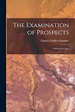 The Examination of Prospects: A Mining Geology 