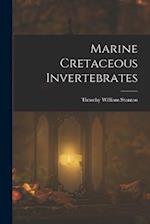 Marine Cretaceous Invertebrates 