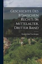 Geschichte Des Römischen Rechts Im Mittelalter, Dritter Band