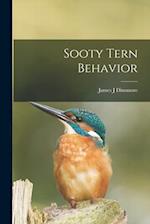 Sooty Tern Behavior 