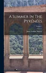 A Summer In The Pyrénées; Volume 1 