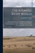 The Atlantic Right Whales: (balaena Cisarctica, Cope.): A Contribution, Embracing An Examination Of I. The Exterior Characters And Osteology Of A Cisa
