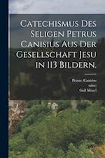 Catechismus des seligen Petrus Canisius aus der Gesellschaft Jesu in 113 Bildern.