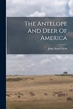 The Antelope And Deer Of America 