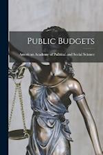 Public Budgets 