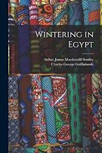 Wintering in Egypt 