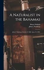 A Naturalist in the Bahamas: John I. Northrop, October 12 1861 - June 25, 1891; 