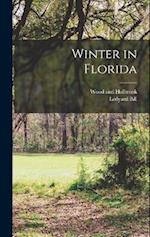 Winter in Florida 