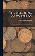 The Wellbeing of Waterloo: A Report to the Civic Society of Waterloo, Iowa 