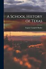 A School History of Texas 