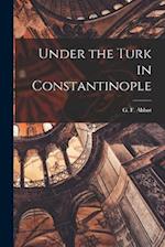 Under the Turk in Constantinople 