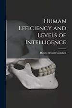 Human Efficiency and Levels of Intelligence 