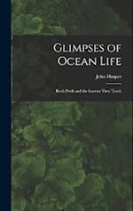 Glimpses of Ocean Life: Rock-Pools and the Lessons They Teach 