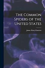 The Common Spiders of the United States 