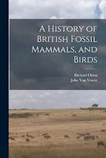 A History of British Fossil Mammals, and Birds 