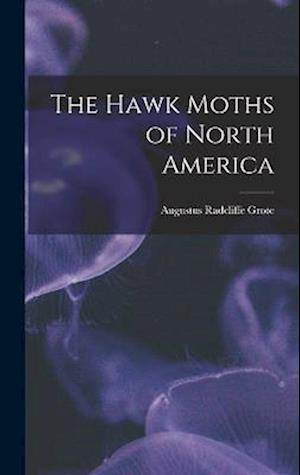 The Hawk Moths of North America