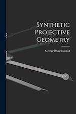 Synthetic Projective Geometry 