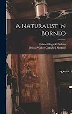 A Naturalist in Borneo 