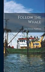 Follow the Whale 