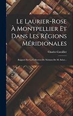 Le Laurier-rose À Montpellier Et Dans Les Régions Méridionales