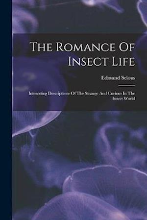 The Romance Of Insect Life: Interesting Descriptions Of The Strange And Curious In The Insect World