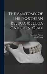 The Anatomy Of The Northern Beluga (beluga Catodon, Gray 