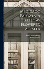 Medicago Falcata, A Yellow-flowered Alfalfa 