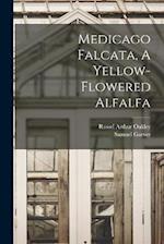 Medicago Falcata, A Yellow-flowered Alfalfa 