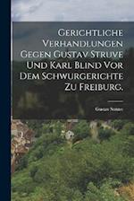 Gerichtliche Verhandlungen gegen Gustav Struve und Karl Blind vor dem Schwurgerichte zu Freiburg.