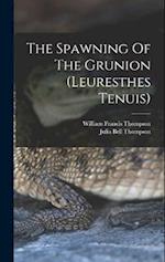The Spawning Of The Grunion (leuresthes Tenuis) 