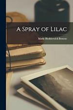 A Spray of Lilac 