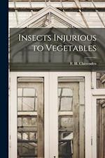 Insects Injurious to Vegetables 