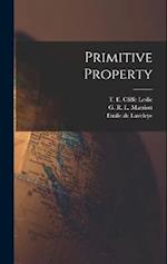 Primitive Property 
