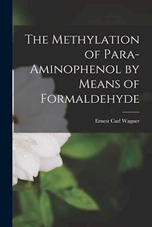 The Methylation of Para-Aminophenol by Means of Formaldehyde