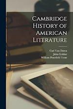 Cambridge History of American Literature 