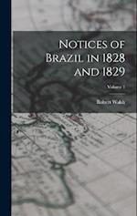 Notices of Brazil in 1828 and 1829; Volume 1 