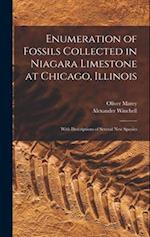 Enumeration of Fossils Collected in Niagara Limestone at Chicago, Illinois ; With Descriptions of Several new Species 