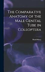 The Comparative Anatomy of the Male Genital Tube in Coleoptera 