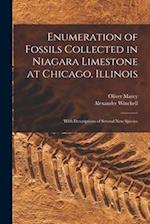 Enumeration of Fossils Collected in Niagara Limestone at Chicago, Illinois ; With Descriptions of Several new Species 