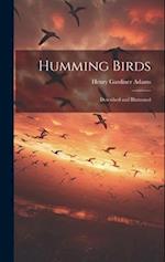 Humming Birds: Described and Illustrated 