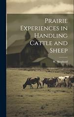 Prairie Experiences in Handling Cattle and Sheep 