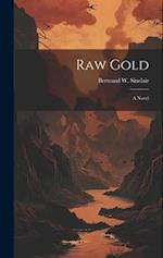 Raw Gold: A Novel 