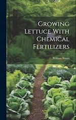 Growing Lettuce With Chemical Fertilizers 