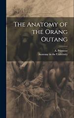 The Anatomy of the Orang Outang 