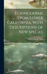 Echinoderms From Lower California, With Descriptions of new Species 