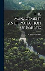 The Management And Protection Of Forests 