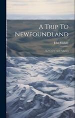 A Trip To Newfoundland: Its Scenery And Fisheries 