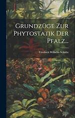 Grundzüge zur Phytostatik der Pfalz...