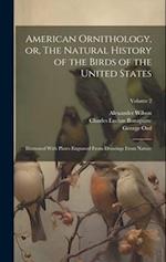 American Ornithology, or, The Natural History of the Birds of the United States: Illustrated With Plates Engraved From Drawings From Nature; Volume 2 