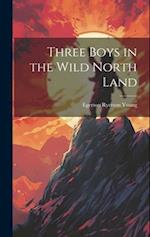 Three Boys in the Wild North Land 
